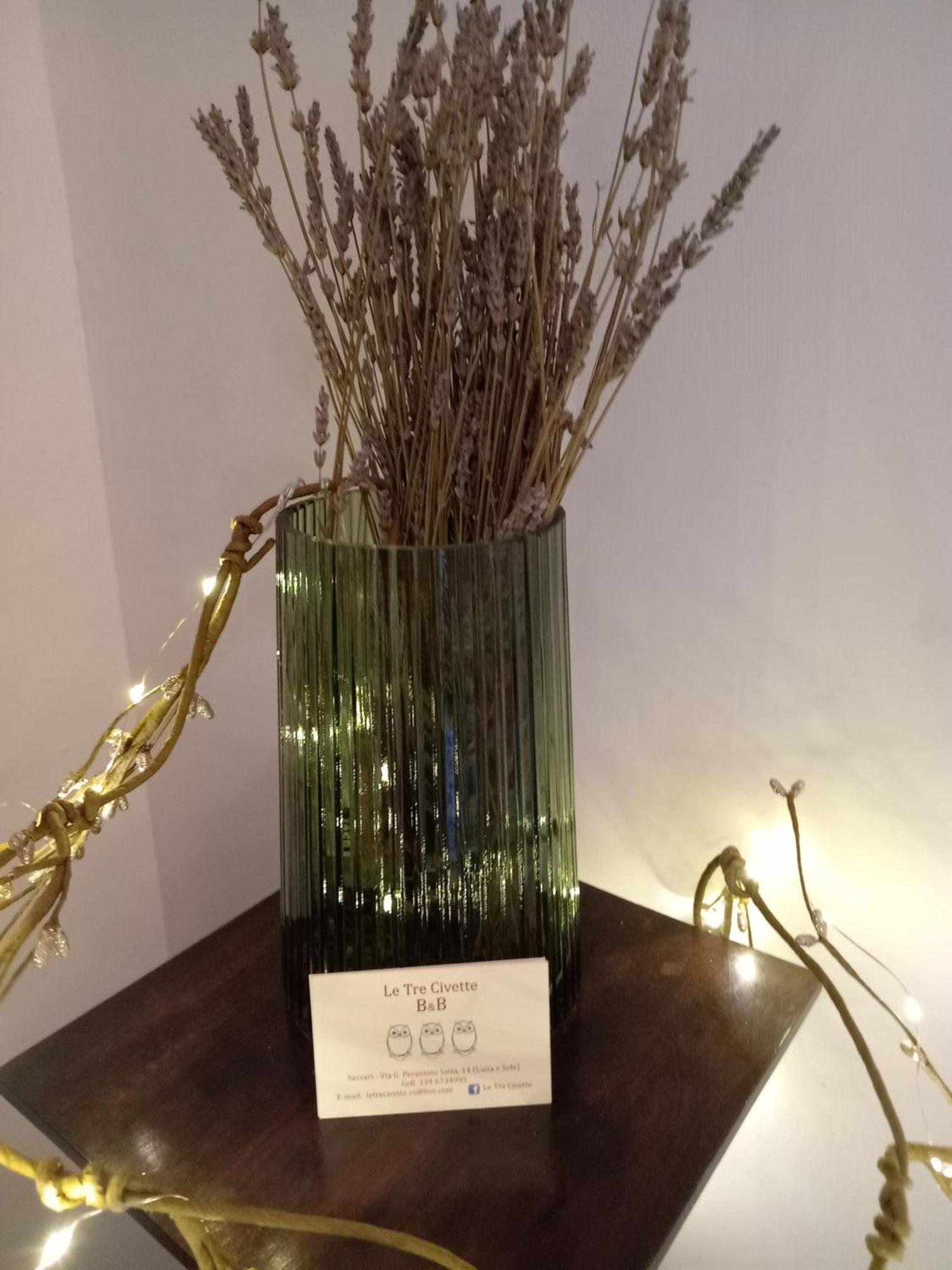 사사리 Le Tre Civette B&B 외부 사진